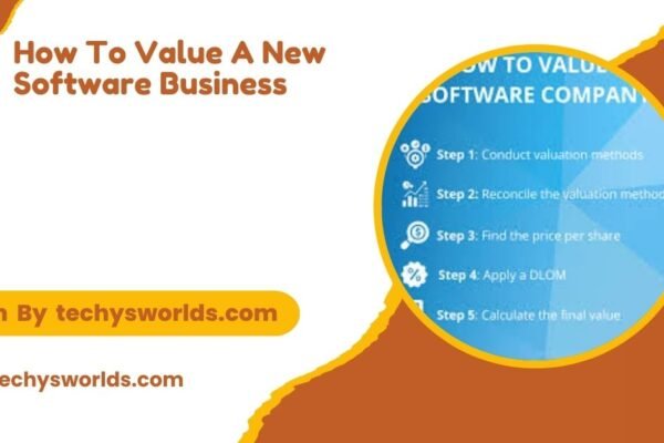 How to Value a New Software Business: Key Factors and Metrics