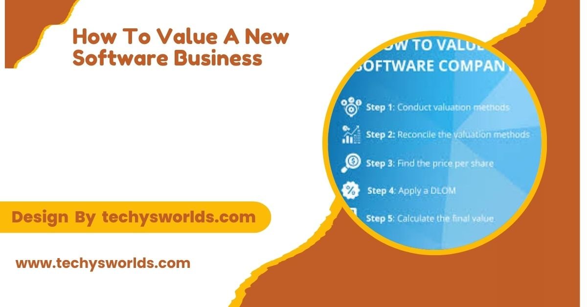 How to Value a New Software Business: Key Factors and Metrics